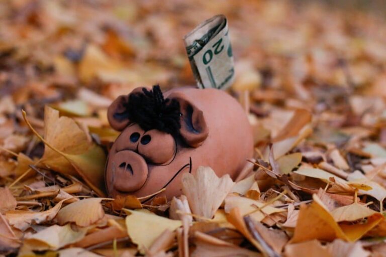 Maîtriser ses Finances